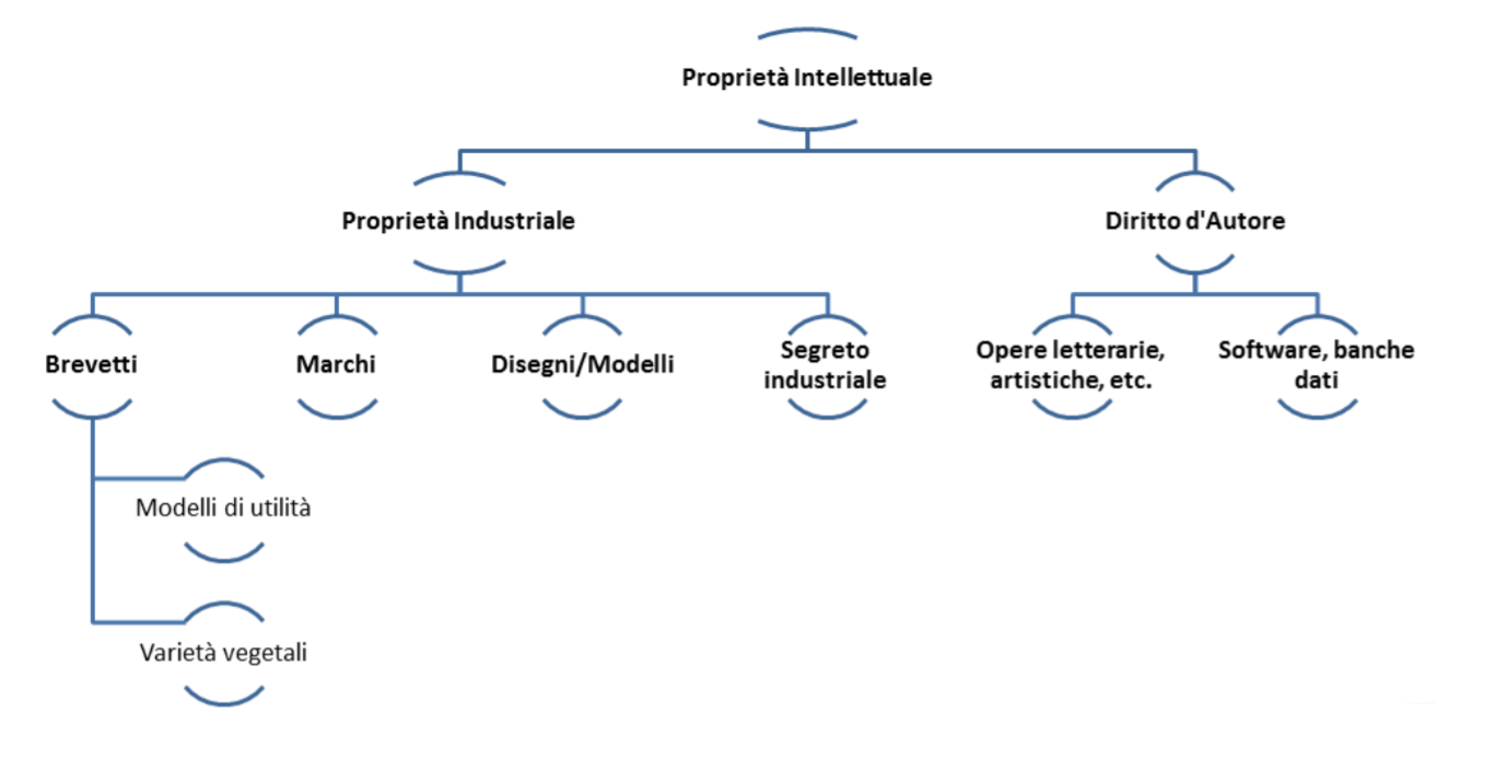 diagramma proprietà intellettuale